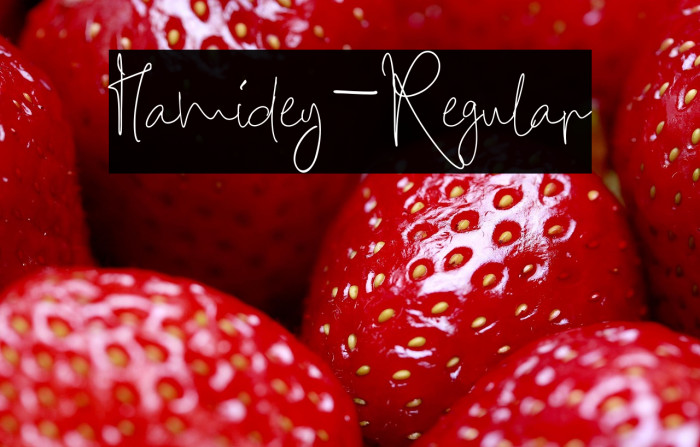 Hamidey-Regular Example 2