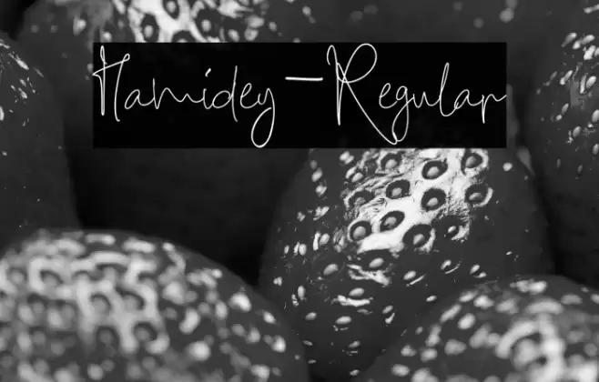 Hamidey-Regular Font examples