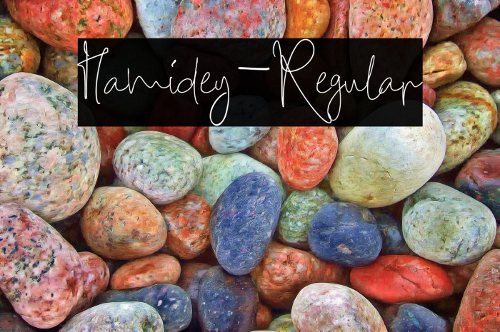 Hamidey-Regular Example 3