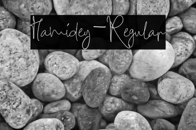 Hamidey-Regular Font examples