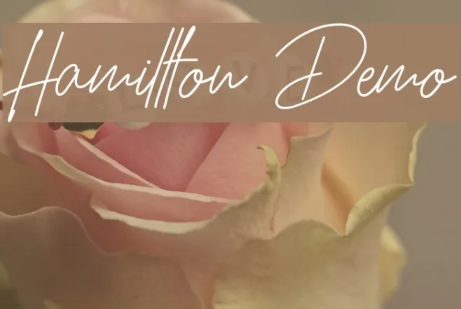 Hamillton Demo Example 3
