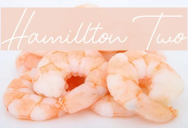Hamillton Two Example 2