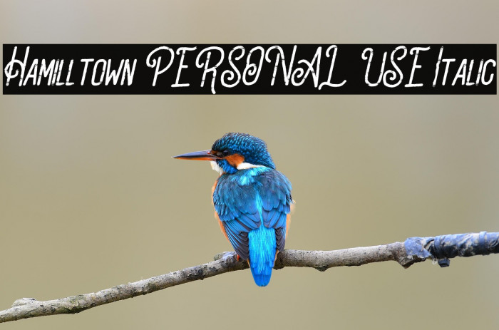 Hamilltown PERSONAL USE Italic Example 1