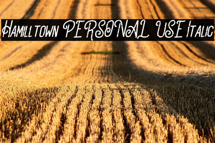 Hamilltown PERSONAL USE Italic Example 2