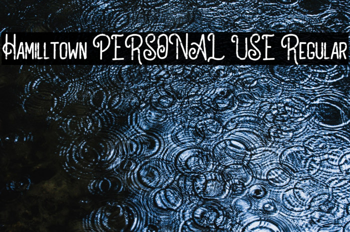 Hamilltown PERSONAL USE Regular Example 2