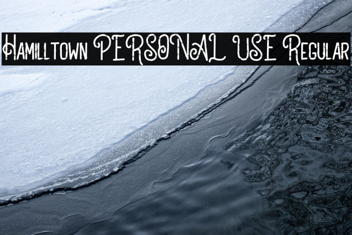 Hamilltown PERSONAL USE Regular Example 3