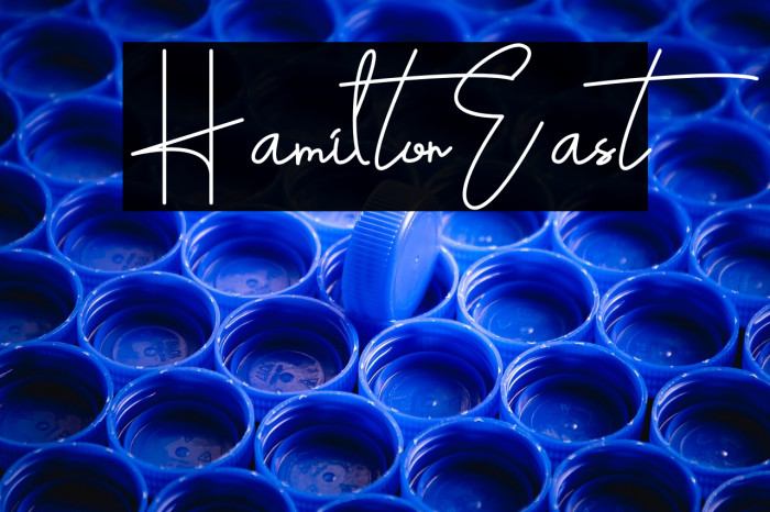 HamiltonEast Example 2