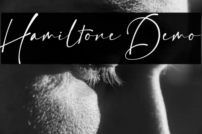 Hamiltone Demo Font examples