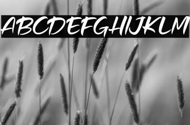 Hamilyn Font examples