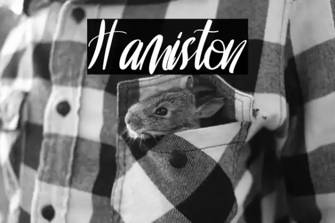 Hamiston Font examples