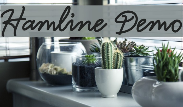 Hamline Demo Font examples