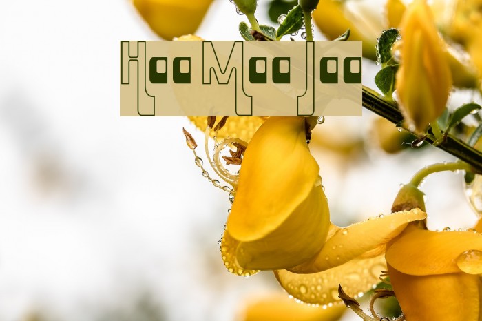 Hamma Mamma Jamma Font examples
