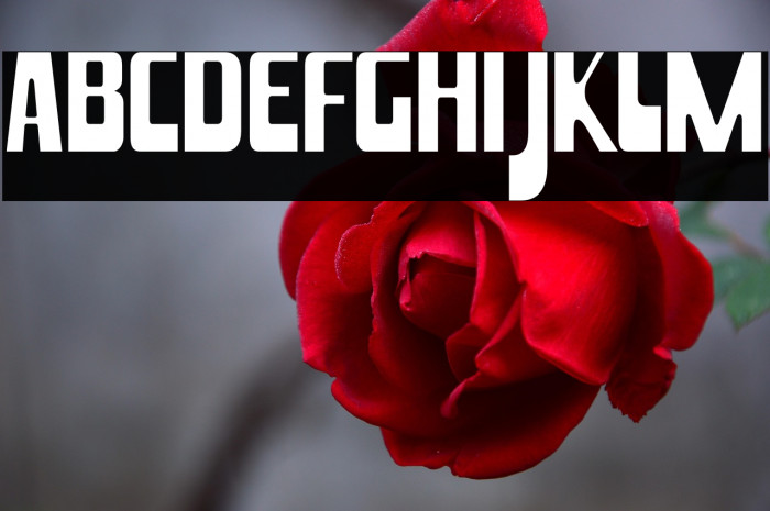 HammaMammaJamma-Regular Example 1