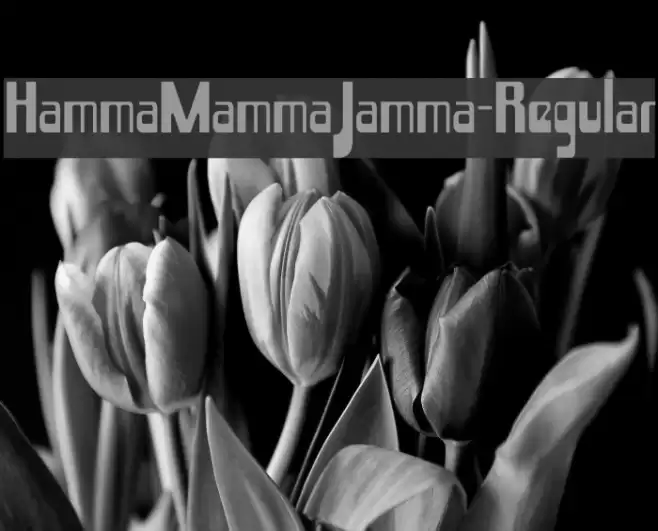 HammaMammaJamma-Regular Font examples
