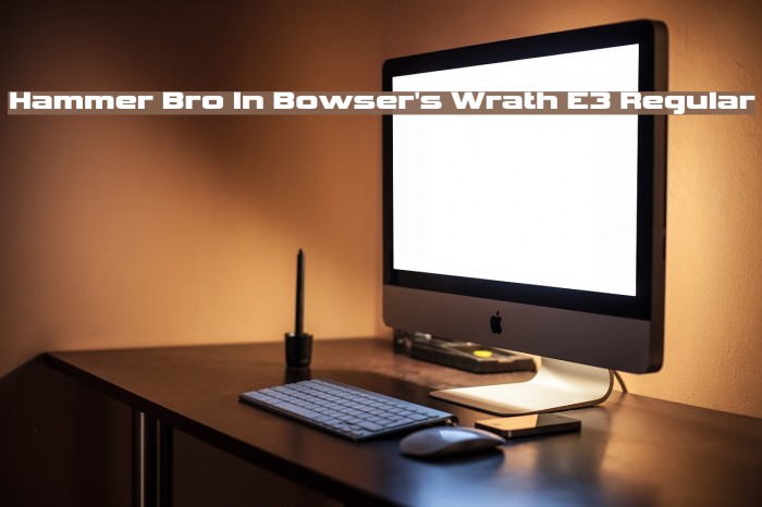 Hammer Bro In Bowser's Wrath E3 Regular フォント examples