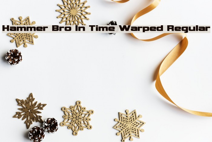 Hammer Bro In Time Warped Regular Font examples