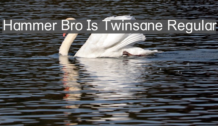 Hammer Bro Is Twinsane Regular Font examples