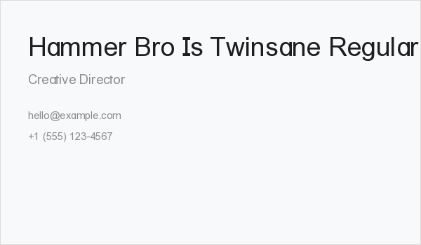 Hammer Bro Is Twinsane Regular Business Card