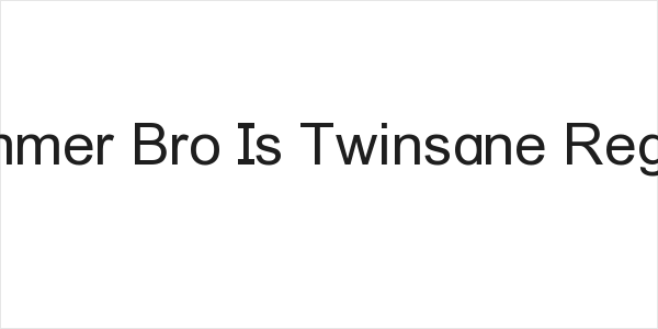 Hammer Bro Is Twinsane Regular Logo