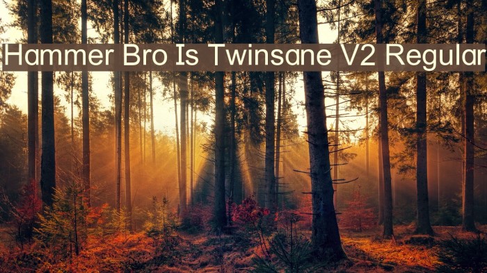 Hammer Bro Is Twinsane V2 Regular Font examples