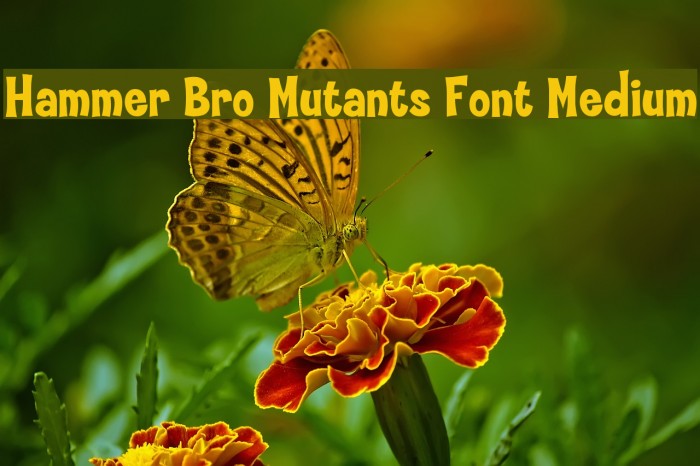Hammer Bro Mutants Font Medium Font examples