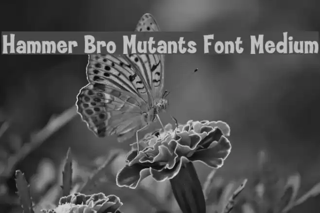 Hammer Bro Mutants Font Medium フォント examples