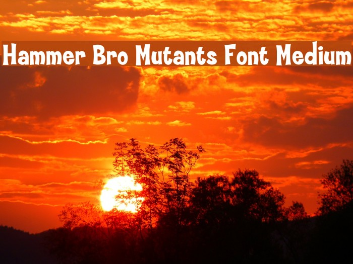 Hammer Bro Mutants Font Medium Font examples