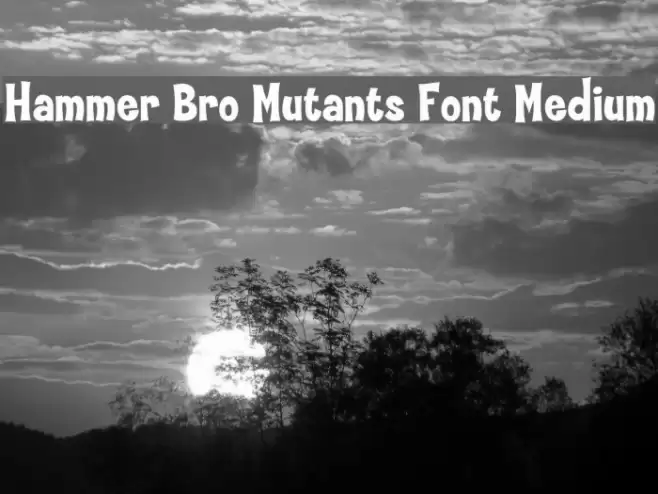 Hammer Bro Mutants Font Medium フォント examples