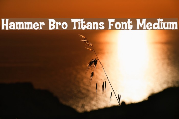 Hammer Bro Titans Font Medium Font examples