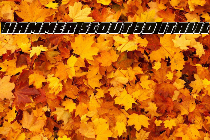 Hammer Scout 3D Italic Example 1