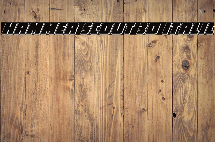 Hammer Scout 3D Italic Example 2