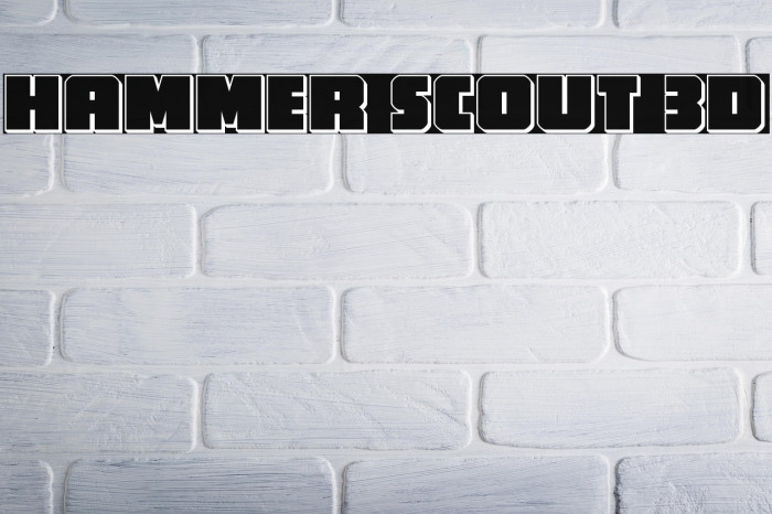 Hammer Scout 3D Example 3