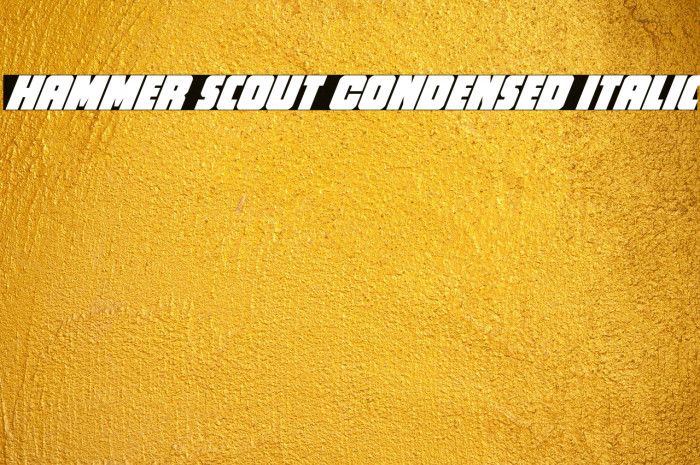 Hammer Scout Condensed Italic Example 2