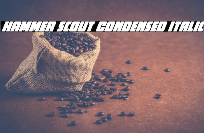 Hammer Scout Condensed Italic Example 3
