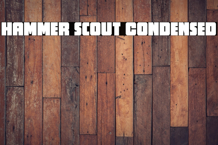 Hammer Scout Condensed Example 1