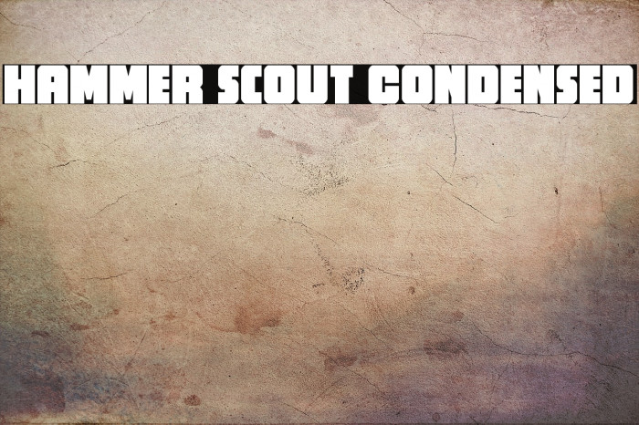 Hammer Scout Condensed Example 2
