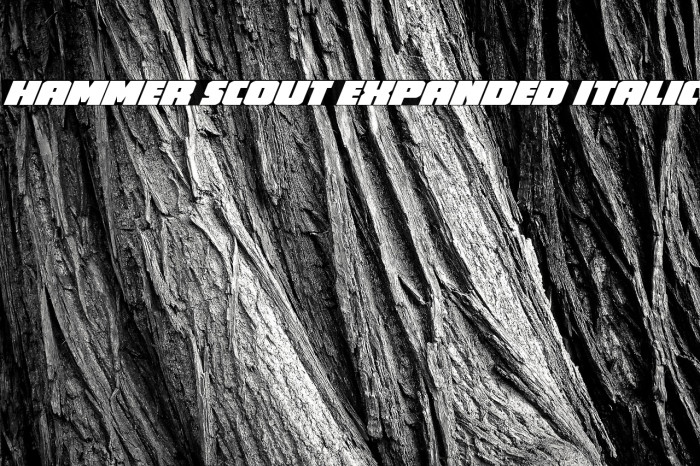 Hammer Scout Expanded Italic Example 2