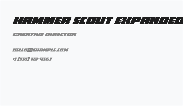 Hammer Scout Expanded Italic Business Card