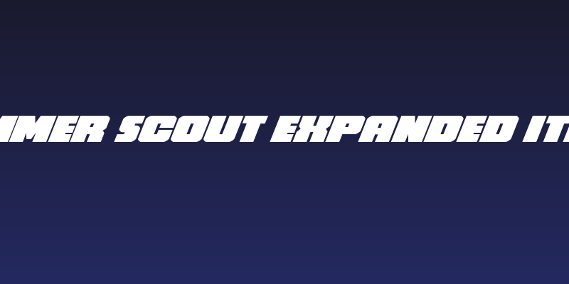 Hammer Scout Expanded Italic Social Header
