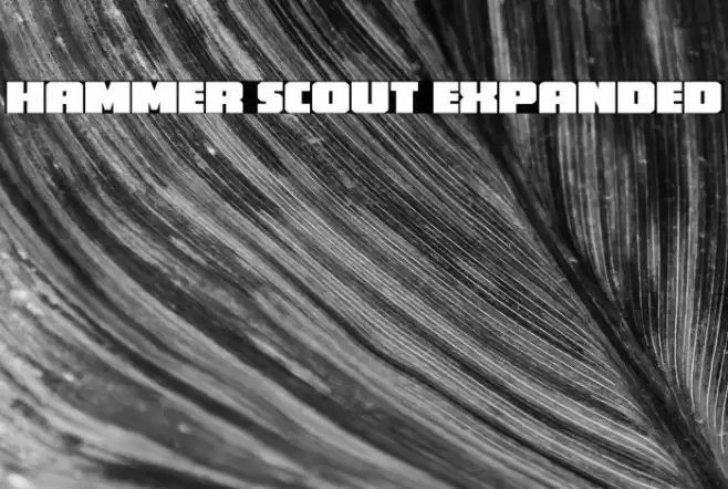 Hammer Scout Expanded Font examples