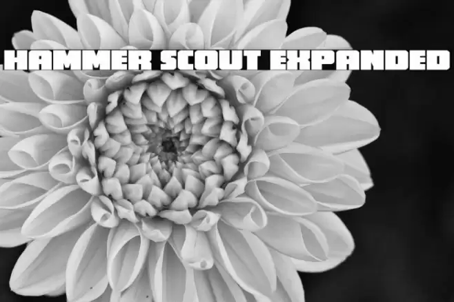 Hammer Scout Expanded Font examples