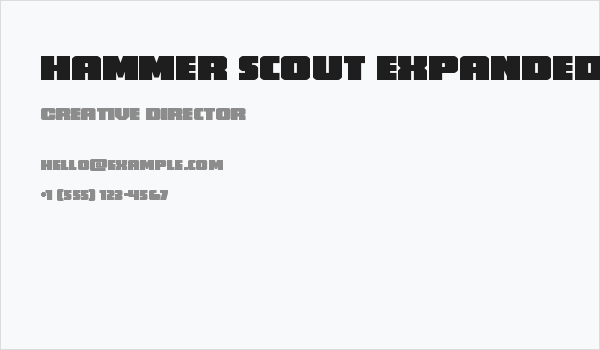 Hammer Scout Expanded Business Card