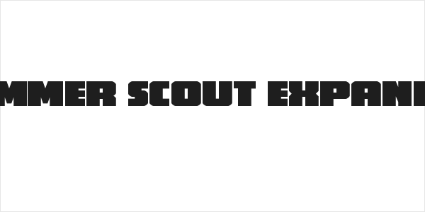Hammer Scout Expanded Logo