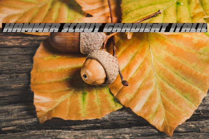 Hammer Scout Gradient Italic Example 3