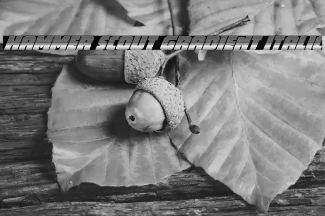 Hammer Scout Gradient Italic Font examples