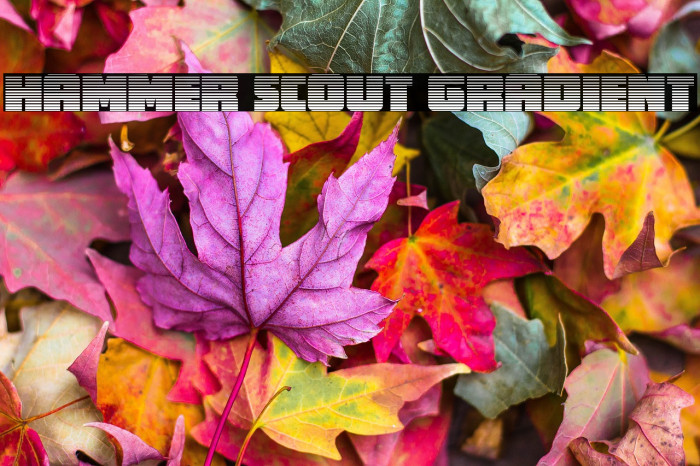 Hammer Scout Gradient Example 1