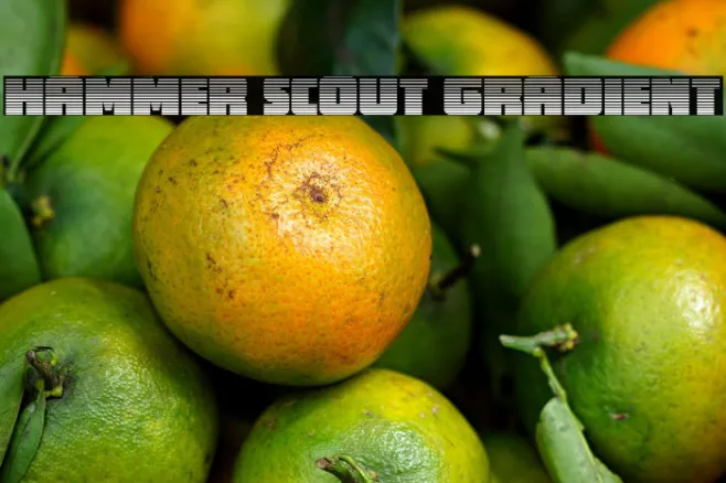 Hammer Scout Gradient Example 2