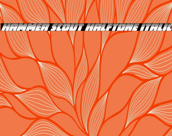 Hammer Scout Halftone Italic Example 3