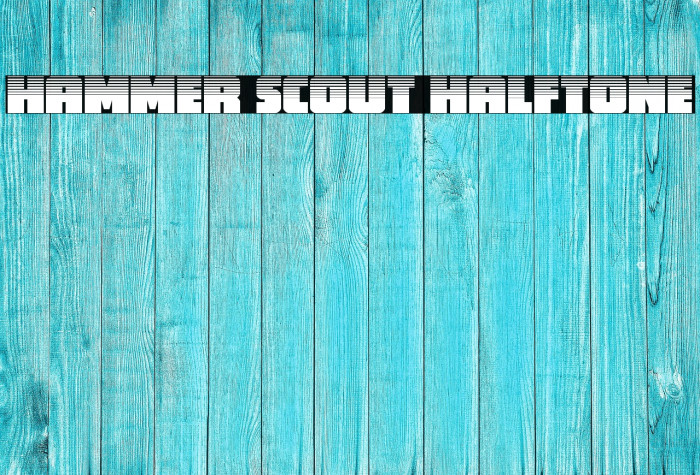 Hammer Scout Halftone Example 1