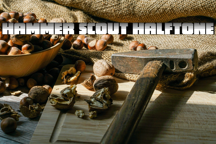 Hammer Scout Halftone Example 2